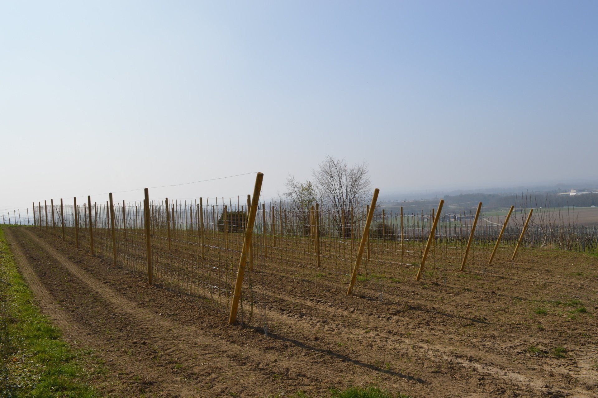 Obst- und Gemüsehof Wenk