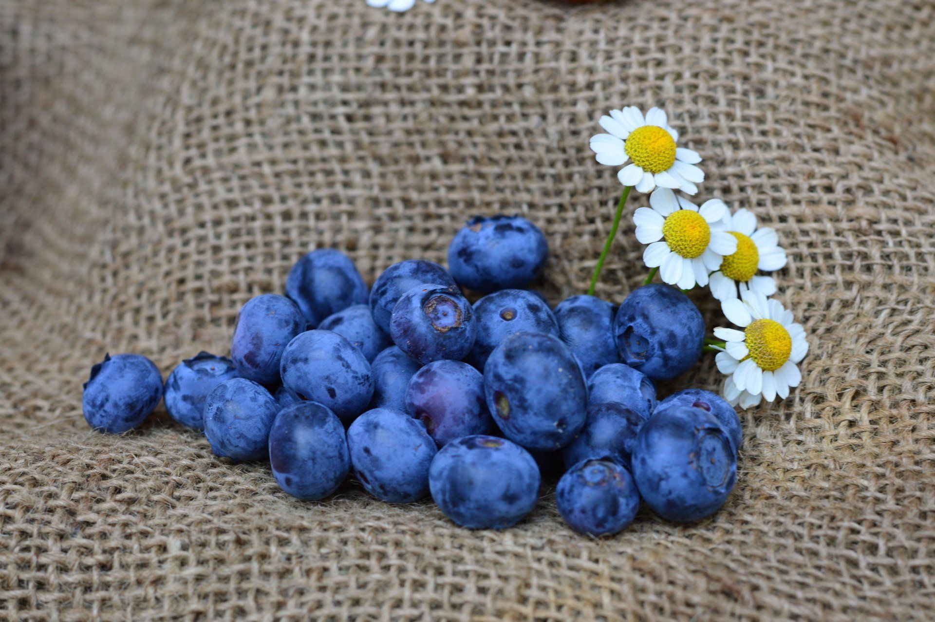 Obst- und Gemüsehof Wenk