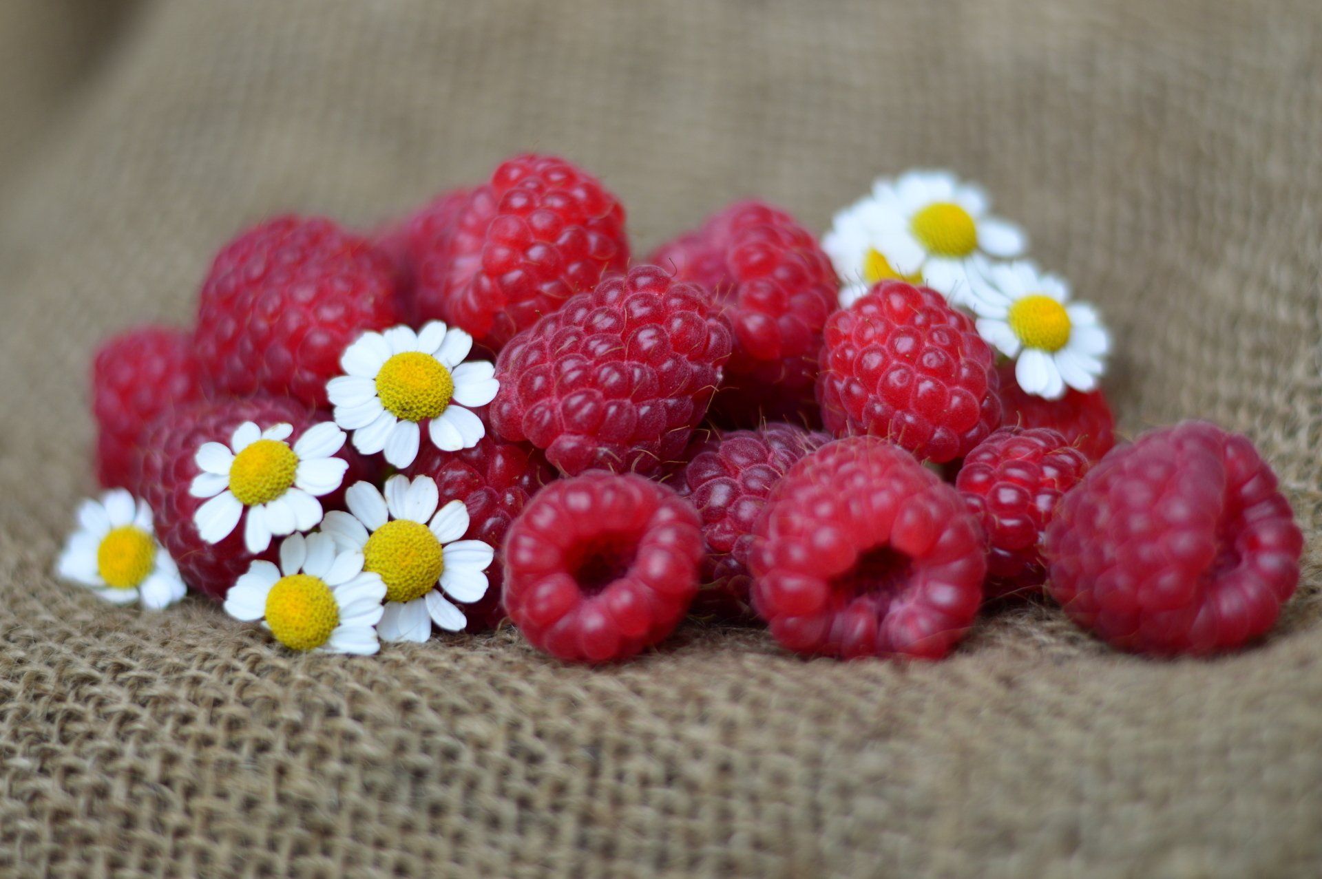 Obst- und Gemüsehof Wenk