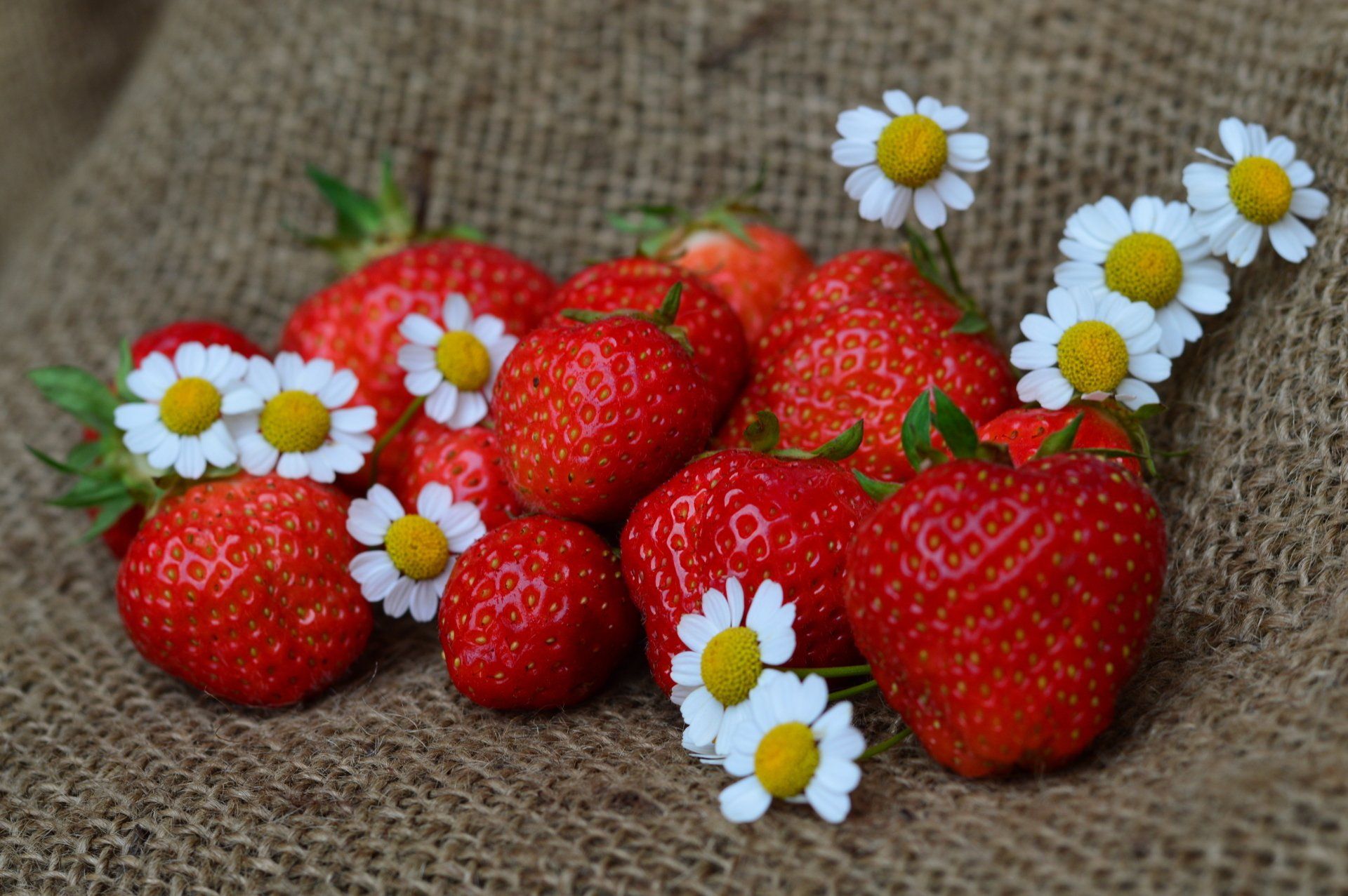 Obst- und Gemüsehof Wenk